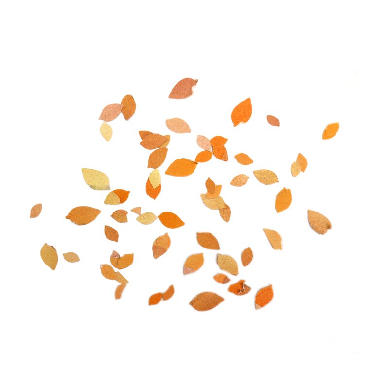 1/16 Accessories Beech Leaves