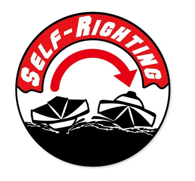 Magic Vee V6 - Joysway RTR 2.4GHz FHSS - 8106V6