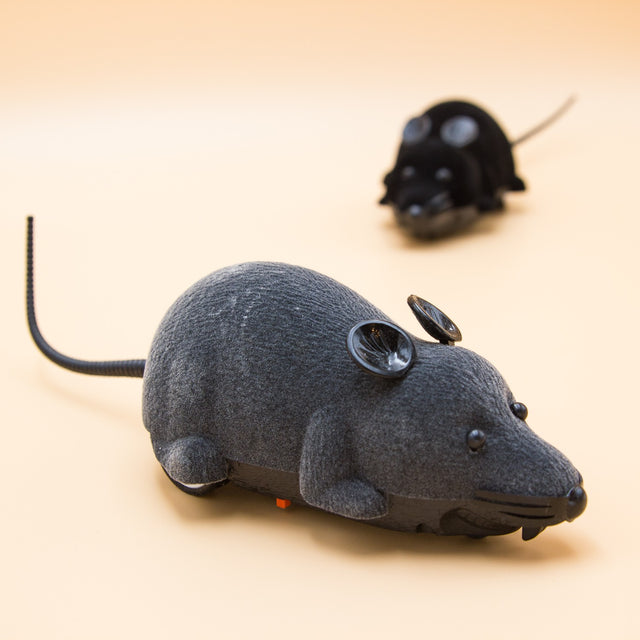 Fjernstyret legetøjsmus til katten