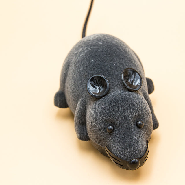 Fjernstyret legetøjsmus til katten