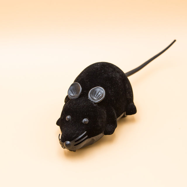 Fjernstyret legetøjsmus til katten