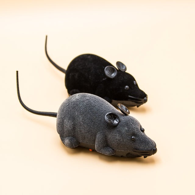 Fjernstyret legetøjsmus til katten