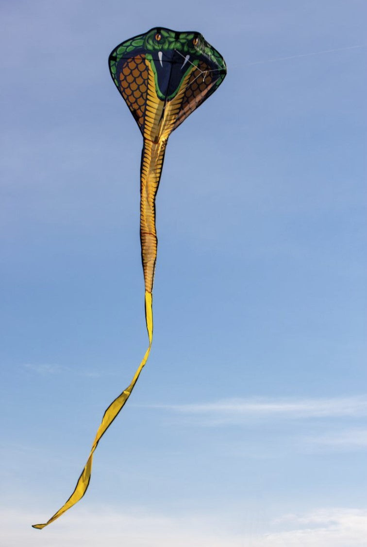 COBRA - Single drage med sejl fra Ripstop-polyester m. håndtag og line