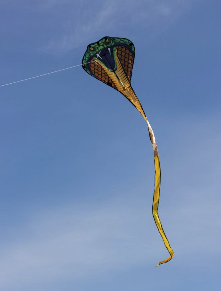 COBRA - Single drage med sejl fra Ripstop-polyester m. håndtag og line