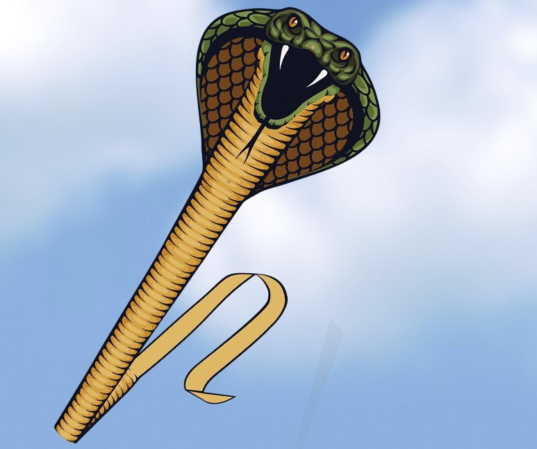 COBRA - Single drage med sejl fra Ripstop-polyester m. håndtag og line