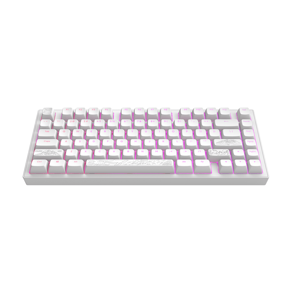 Dark Project ALU Terra Nostra R2 White - Wired Gaming Keyboard (ANSI)