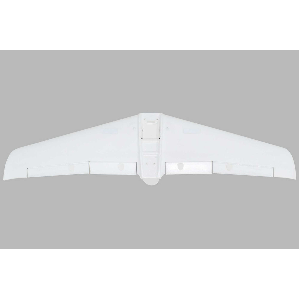 Painted Wing: V1200