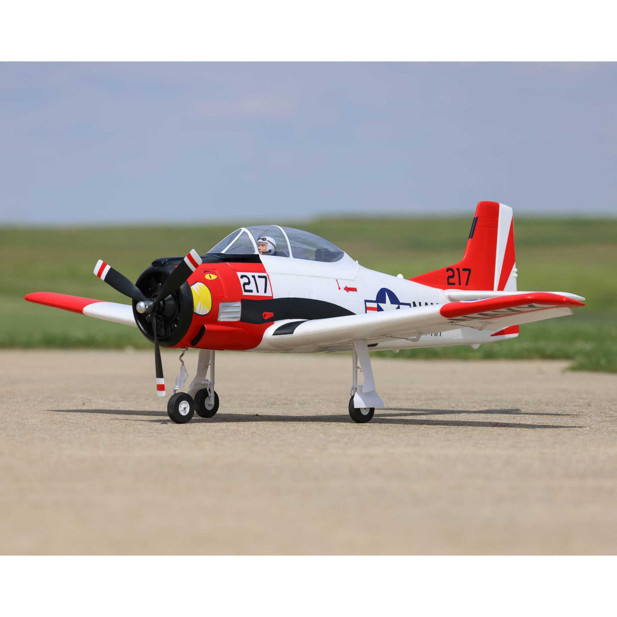 T-28 Trojan 1.2m with Smart PNP-