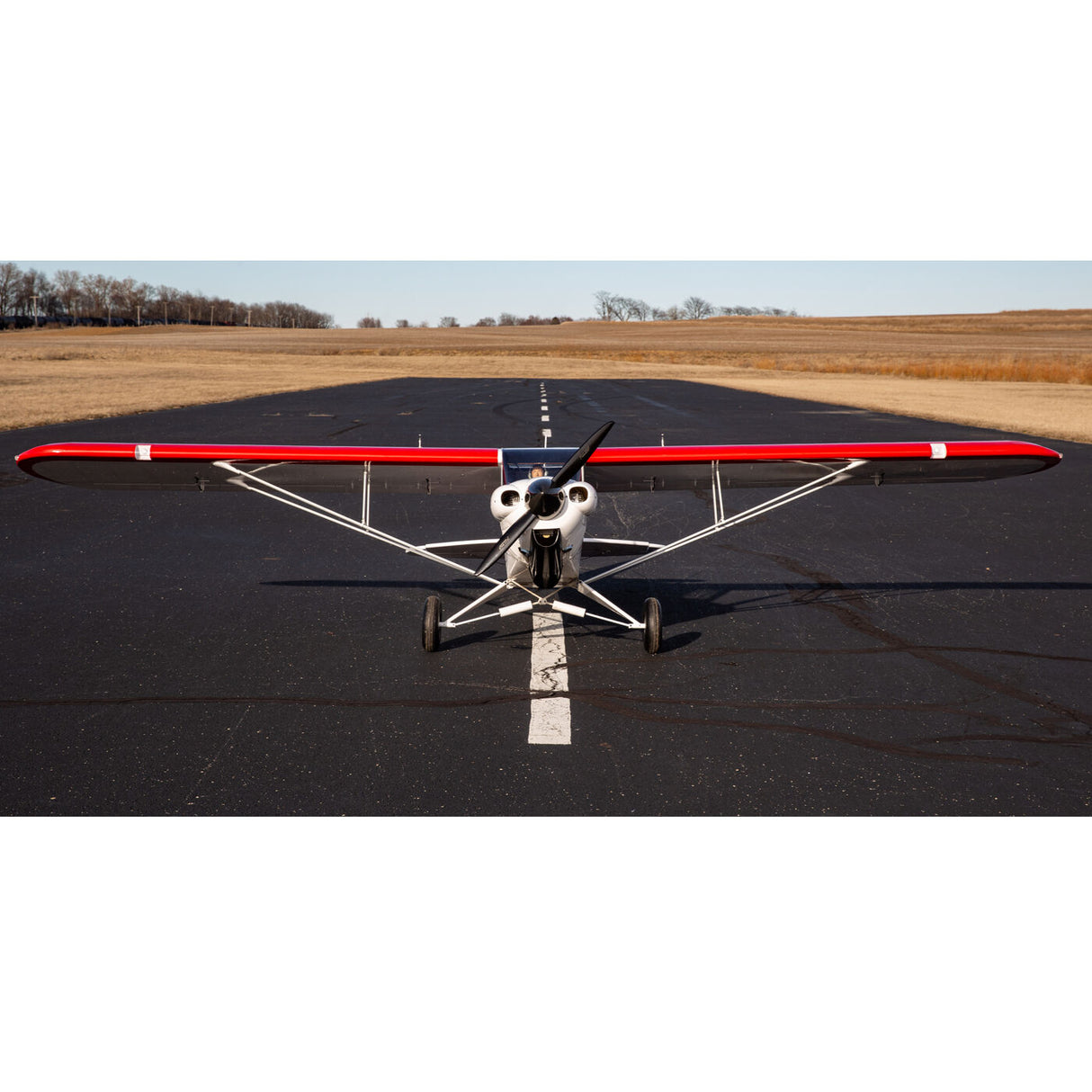 Carbon Cub FX-3 100-200cc ARF
