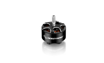 Hobbywing 30418002 - Xrotor FPV Motor 2807 1700kV 4S