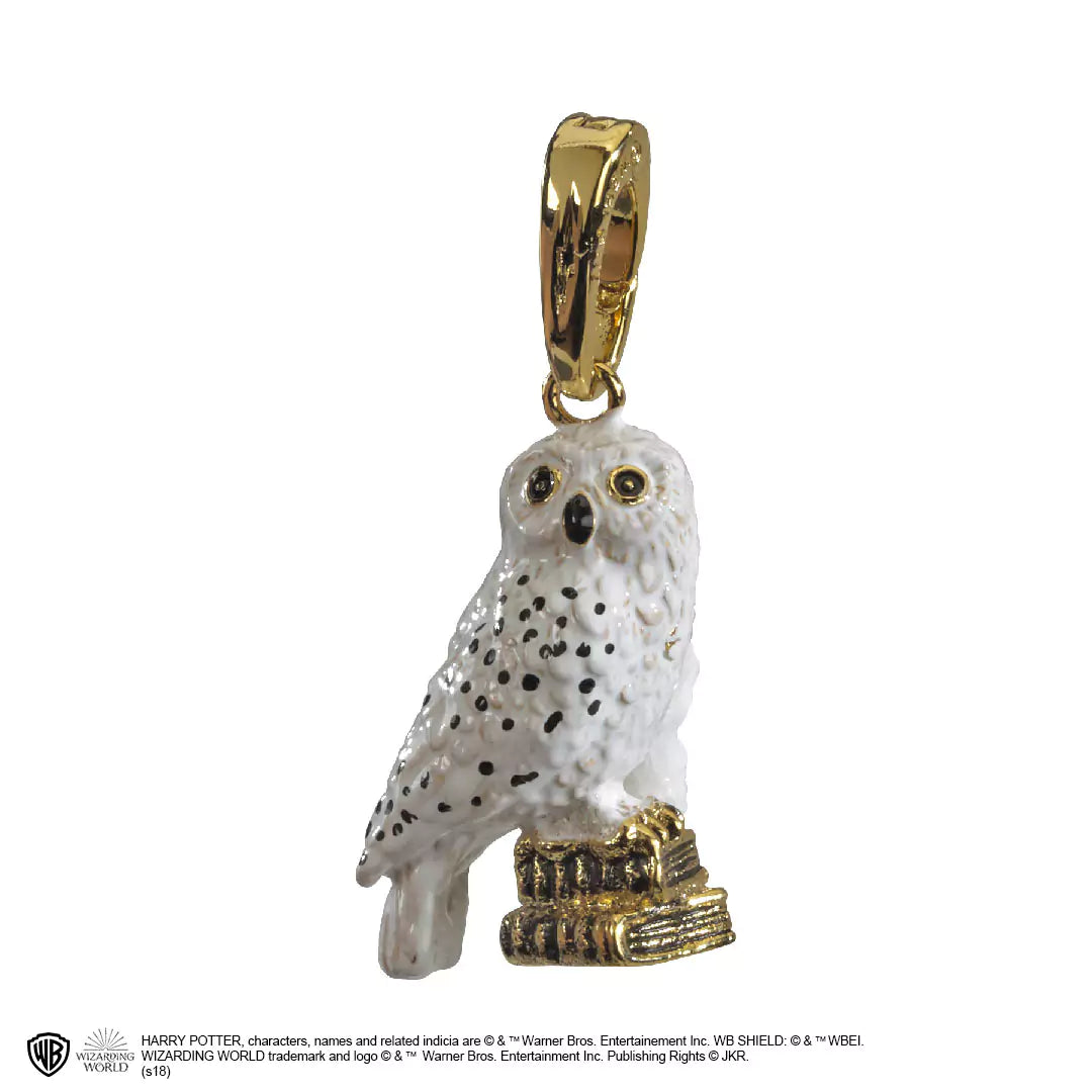 Hedwig - Charm Lumos - Harry Potter