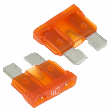 SkyRC SK-600133-02 - Fuse for BD250 (2)