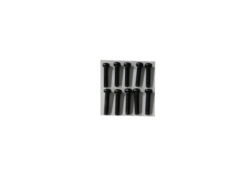 Phillips Screw M3x14mm (10)