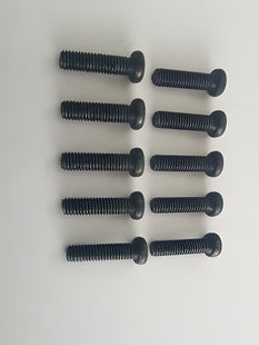 Phillips Screw M3x10mm (10)