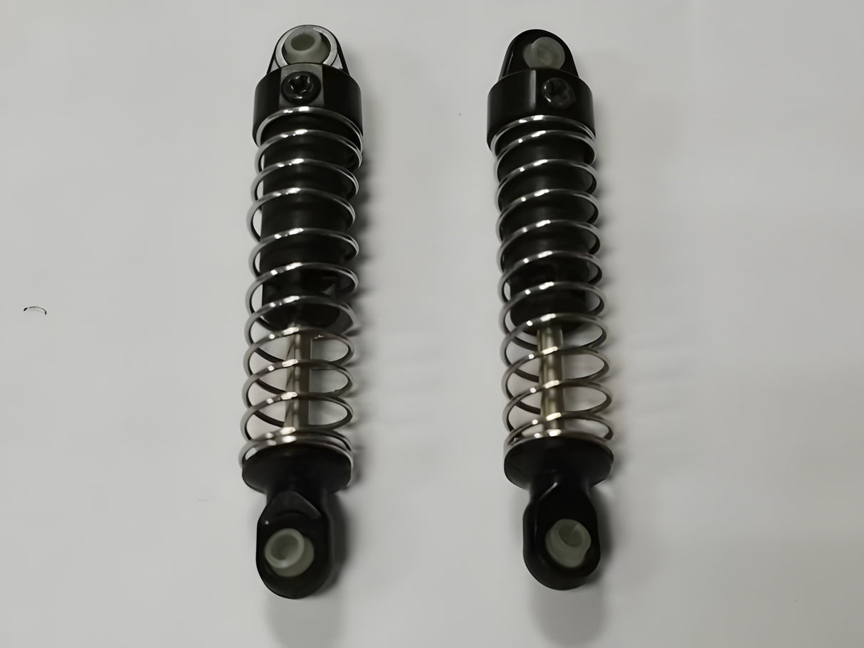 Shock Absorber (2)