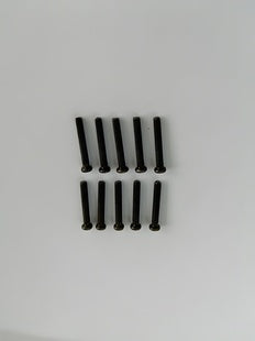 Phillips Screw M2.5x16mm (10)