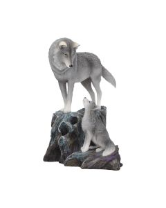 Nemesis Now Lisa Parker Guidance Wolf Pup Embossed Purse Turquoise 18.5cm