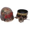 Slayer Skull Box 17.5cm