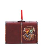Harry Potter Hogwarts Express Ticket Hanging Ornament