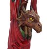 Anne Stokes Magical Arrival Hanging Ornament 13.5cm