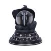 Purrah's Fortune 12.2cm