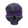 Rose Geode Skull 19cm