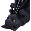 Black Cat Guzzler 24cm