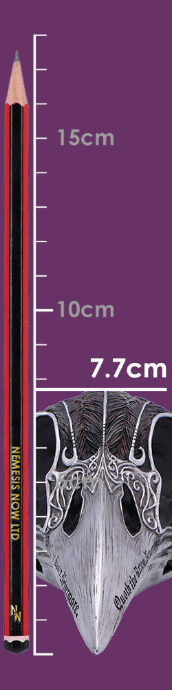 Quoth The Raven 20.2cm