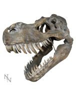 Dinosaur World (Display Stand with 36pcs) Decorative Resin Figurine Display