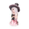 Rosa Figurine Witch Black Cat Ornament