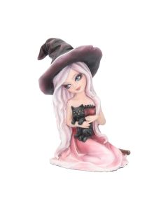 Regan Witch & Her Raven Figurine 15cm