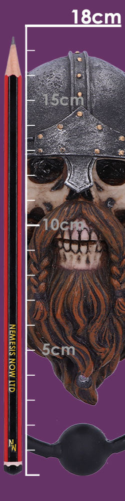 Viking Skull Door Knocker 18.5cm