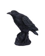 Ravens Cry 18cm