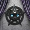 Feline Worship Cat Pentagram Wall Plaque 25.5cm