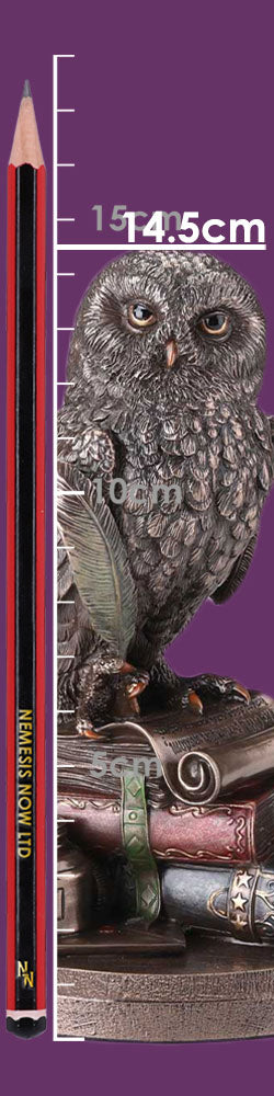 An Owl's Tale Bronze Figurine