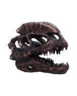 Spinosaurus Skull Resin Replica