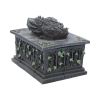 Dragon Ivy Tarot Card Holder Box