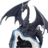 Midnight Custodian 20.5cm