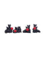 Midnight Custodian 20.5cm