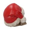 Silent Night Christmas Skull 15.5cm