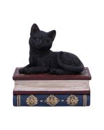 Whisker Wish Black Cat Figurine