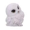 Feathers Cute Round Snowy Owl Figurine