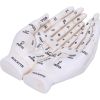 Palmist's Guide White Chiromancy Hands Candle Holder