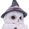 Owl Potion Figurine 17.5cm