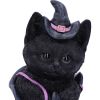 Mischievous Familiar Cat Figurine 18.5cm