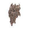 Bronze Spirit of the Ents Hanging Wall Plaque 20cm