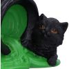 Ooops! Black Cat Ornament 8.7cm