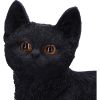 Charmed Companion Black Cat Figurine 20cm