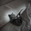 Familiar Helper Black cat Mobile Phone Holder 12.5cm
