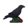Rose of the Raven Figurine 14cm